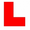 Driving instructor in  Martin