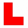 Driving instructor in  Rose