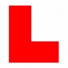 Driving instructor in  Leo